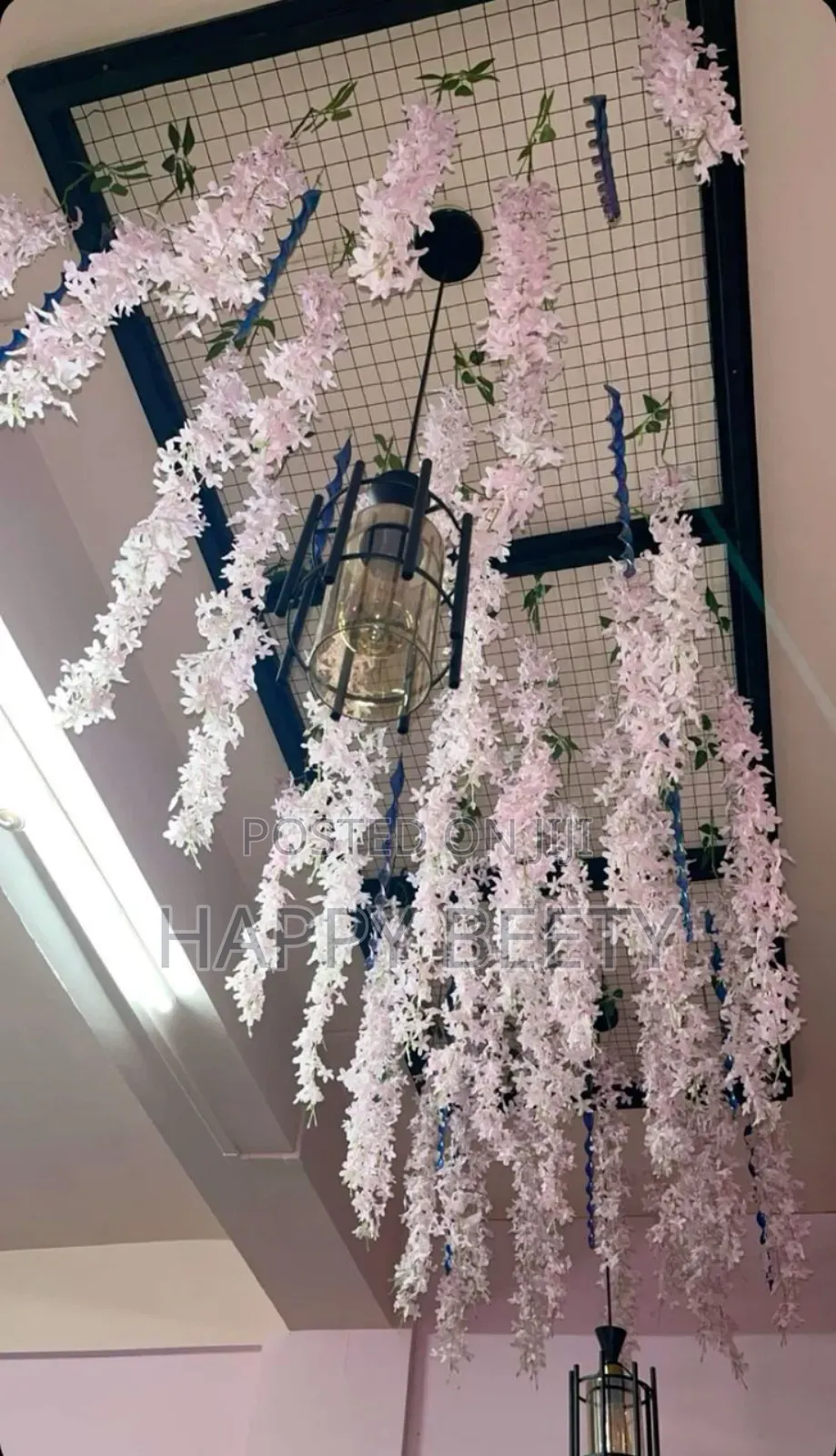 Pretty Hanging Flowers(Winsteria Vines)