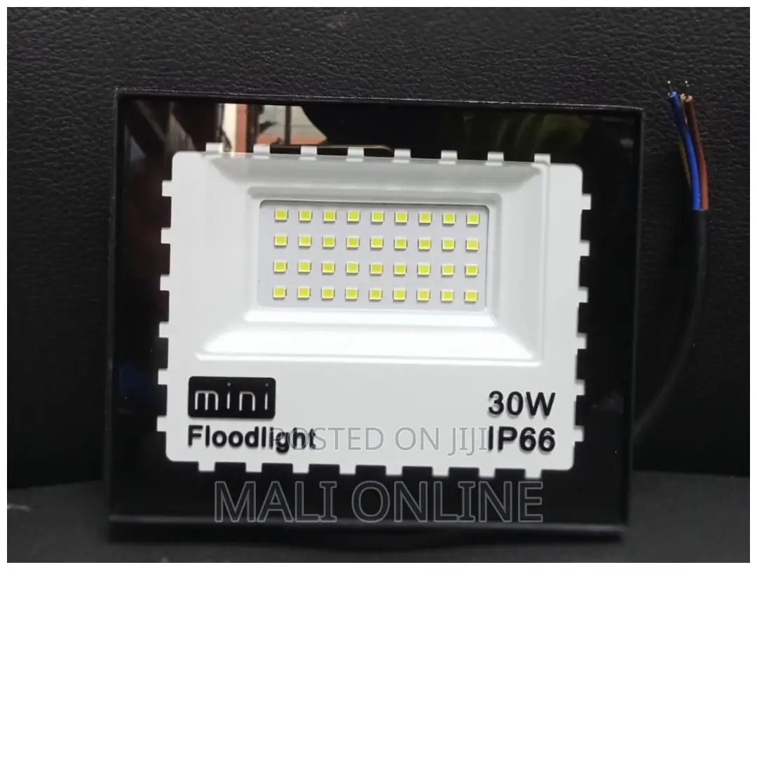 30 Watts Mini LED AC Flood Light