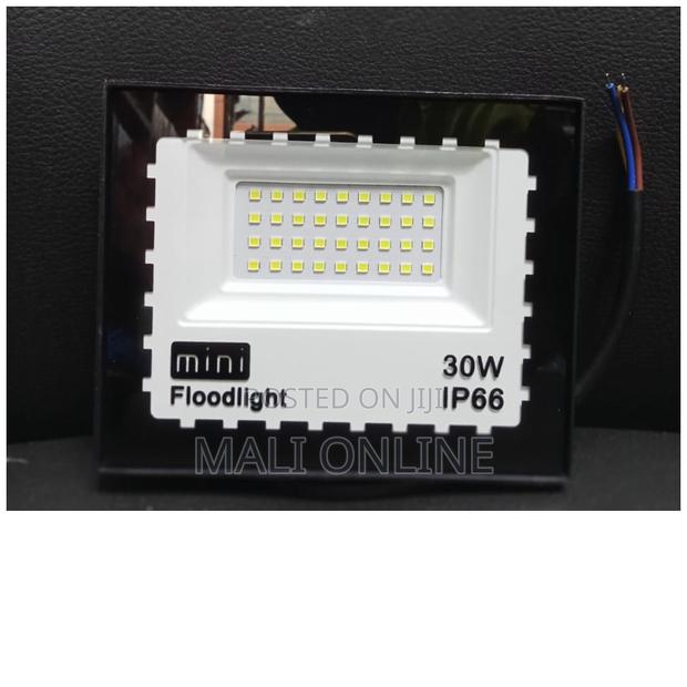 30 Watts Mini LED AC Flood Light