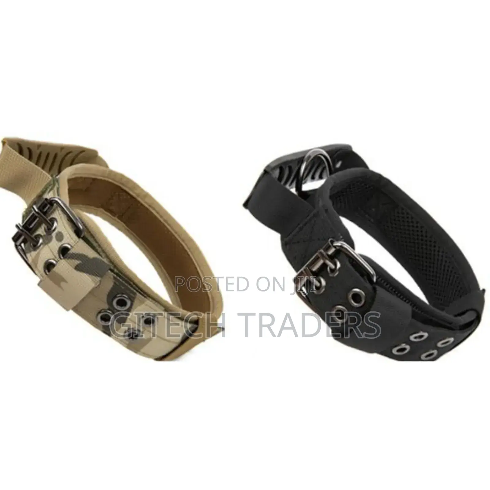 Brand New Dog Collar