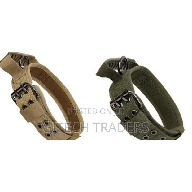 Readily Available Dog Collar