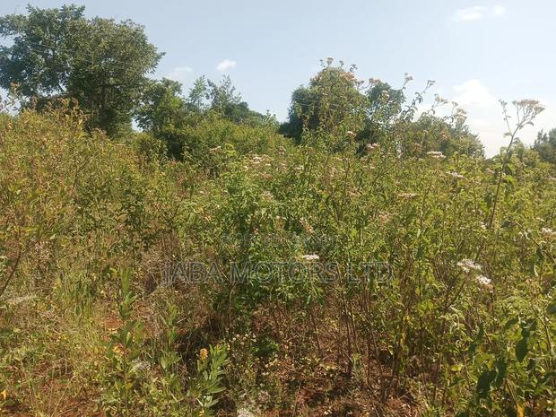 Land for Sale - main view