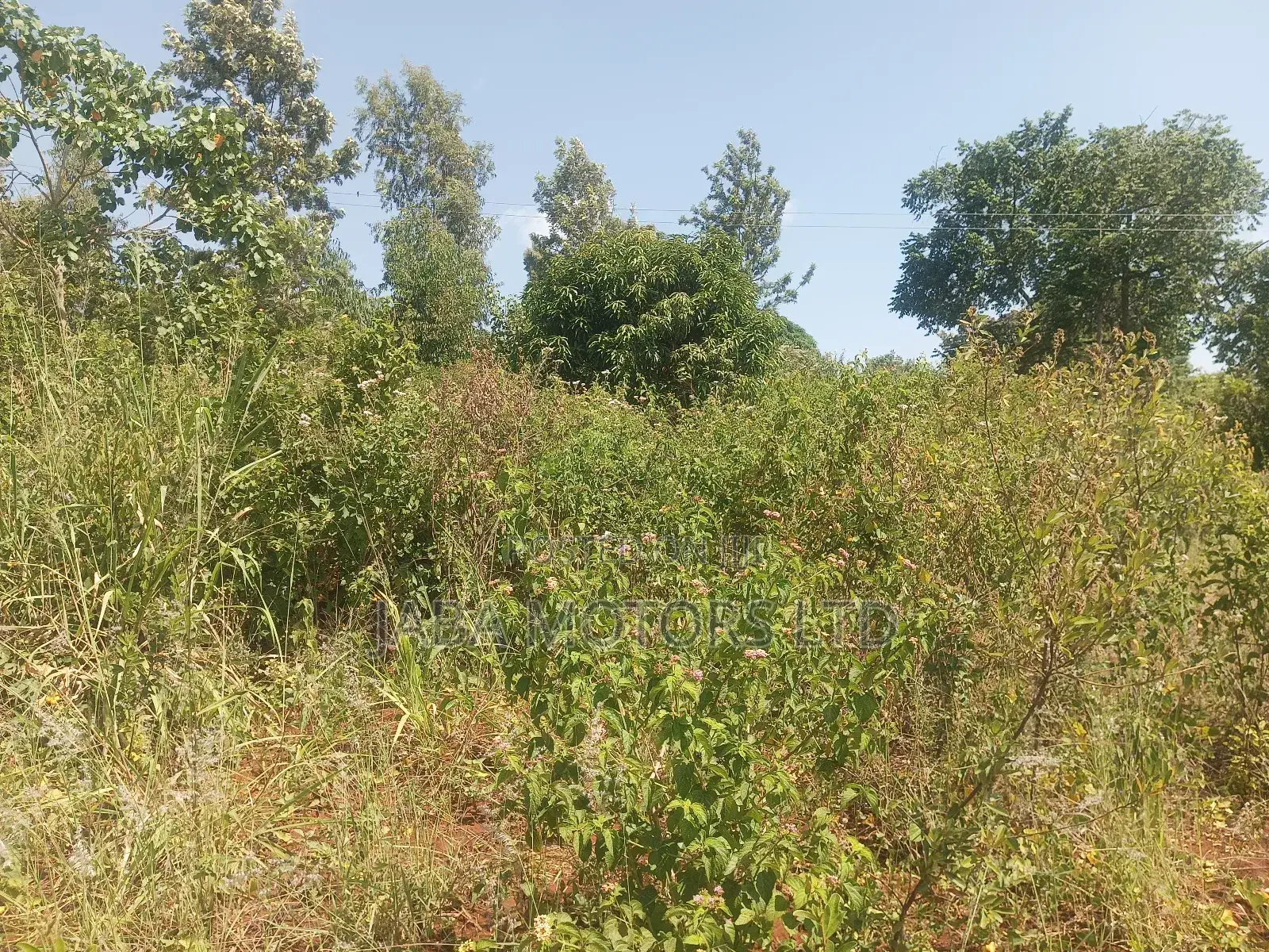 Land for Sale