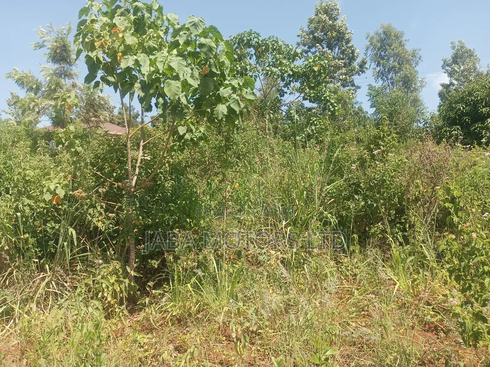 Land for Sale