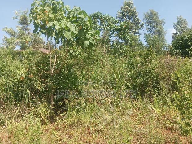 Land for Sale - thumbnail 3