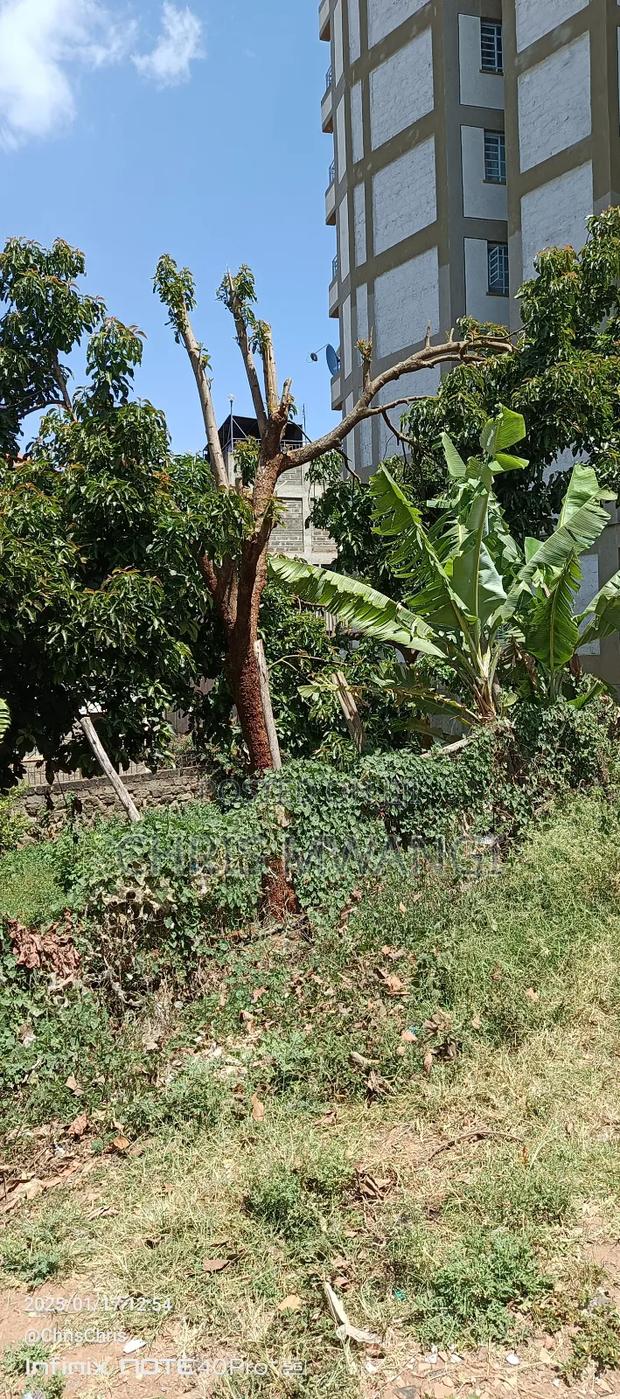 Ready Title - thumbnail 2