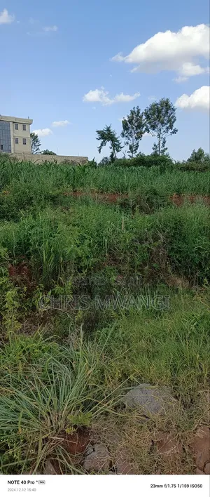 Ready Title Deed