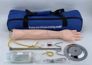 Phlebotomy/ IV Training Model - main view