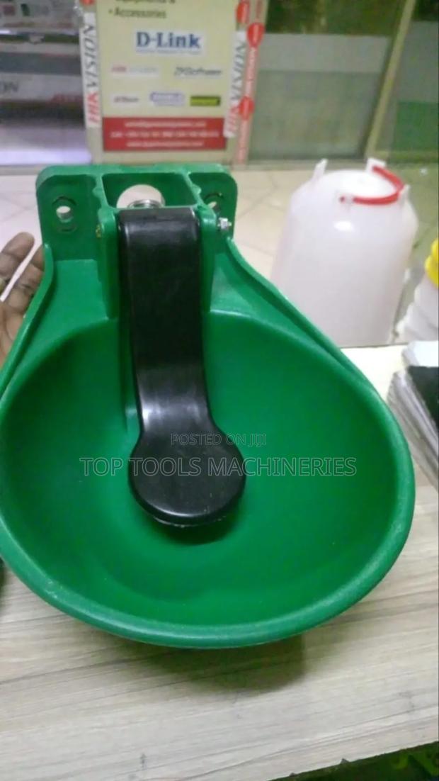 Cow Bowl
Wholesale
Retail - main view