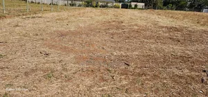 Prime 1⁄4 Plots for Sale in Illula Before Primary in Eldoret