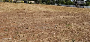 Prime 1⁄4 Plots for Sale in Illula Before Primary in Eldoret