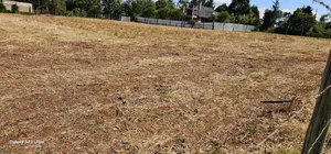 Prime 1⁄4 Plots for Sale in Illula Before Primary in Eldoret