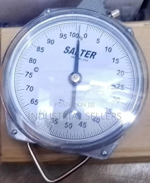 Original Salter Hanging Scale - main view