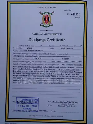 Housekeeping Cleaning CV