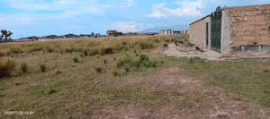 50/100 Plot on Sale at Barnabas, Royal Estate, Monarch Homes - thumbnail 2