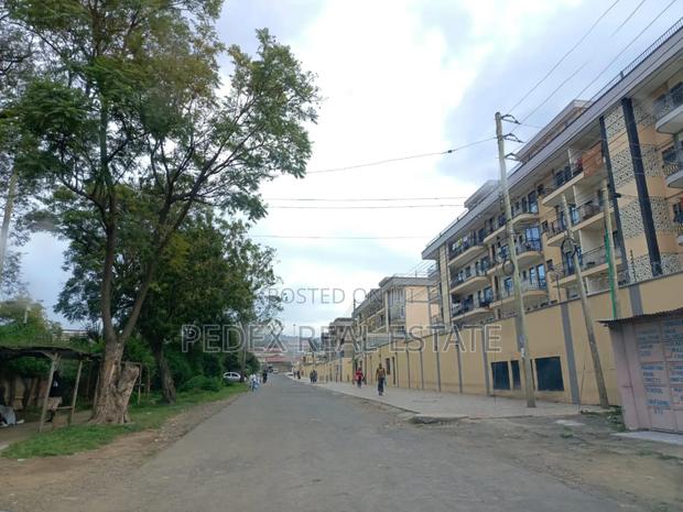 6 Rental Units + Shops + 3 Bedroom Hse for Sale With Income of Pm
