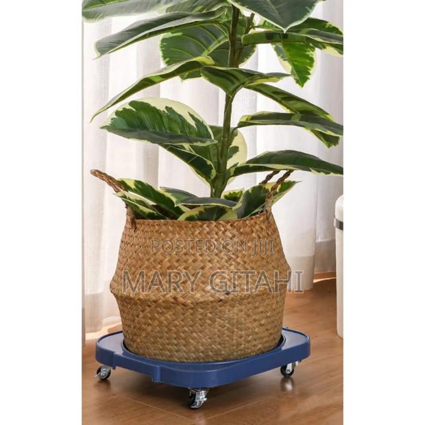 *Heavy Duty Multipurpose / Gas Trolley at - main view