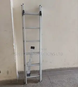 2 by 6 Double Extension Alluminum Ladder