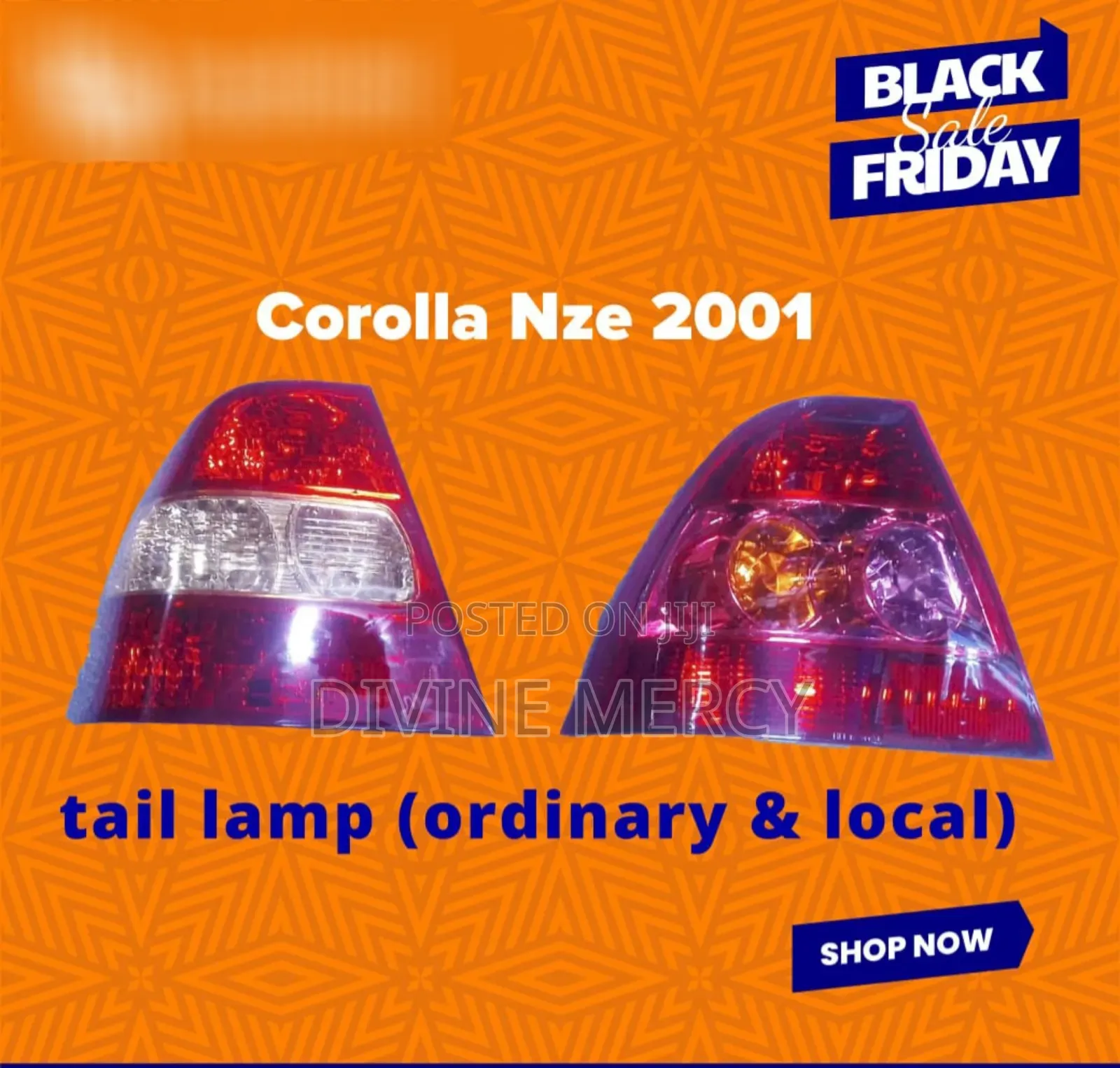 Corolla NZE 2001 Tail Lamp Light Lens