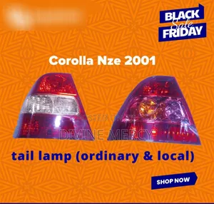 Corolla NZE 2001 Tail Lamp Light Lens