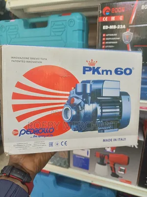 High Efficiency Pedrollo Water Pump