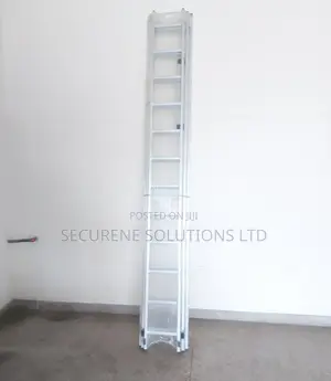 Professional 3by12 Triple Extension Ladder