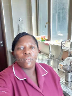 Housekeeping Cleaning