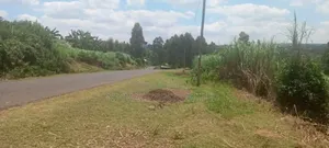 Plots for Sale in Gikuni