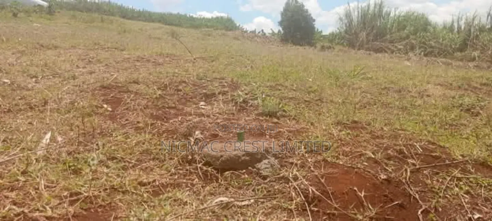 Plots for Sale in Gikuni