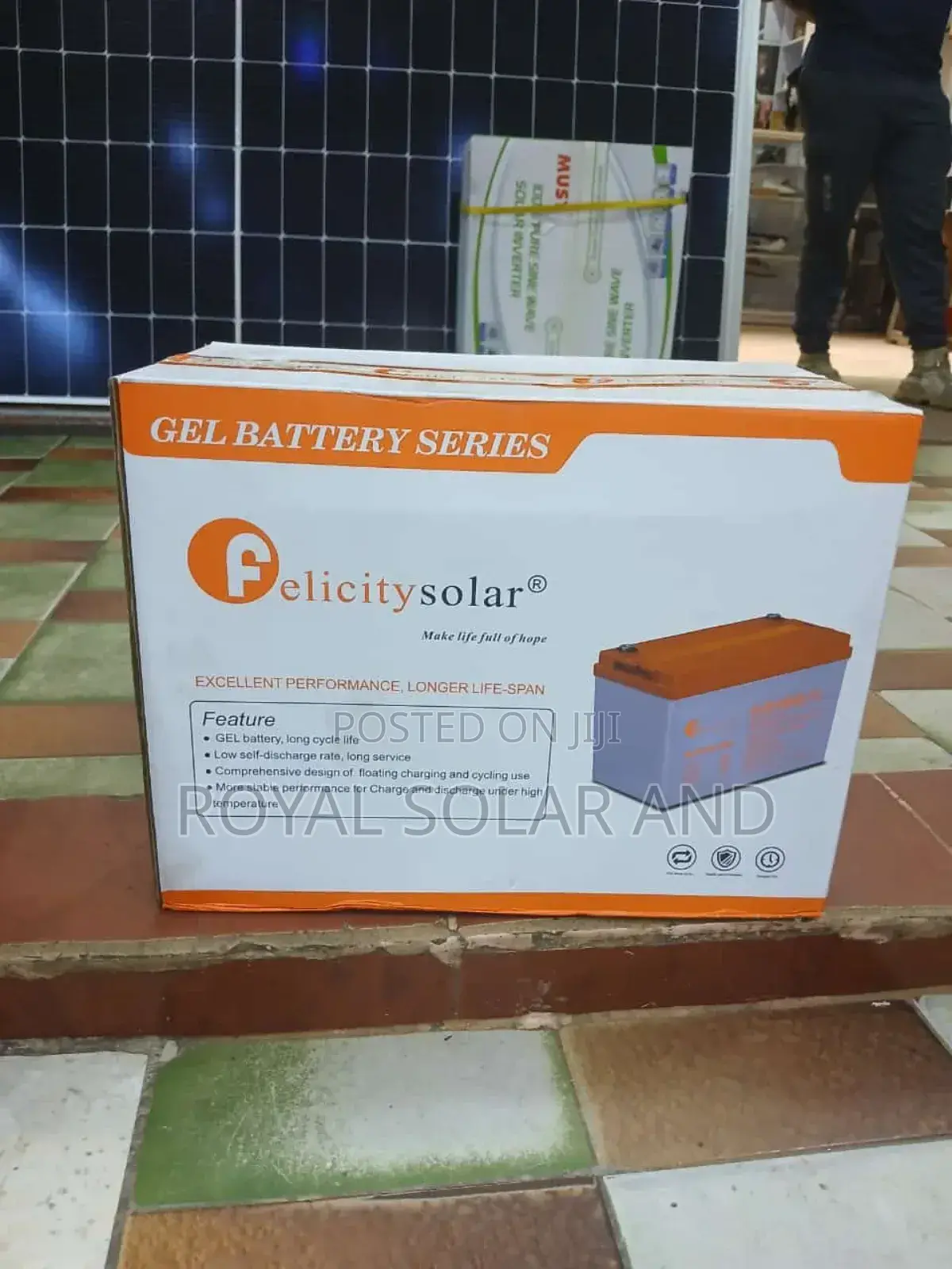 100ah Felicity Battery