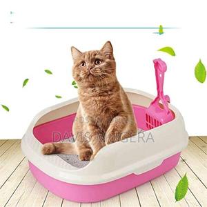 Cat Litter Box + Litter Scoop Open Design (Medium Size) - thumbnail 2
