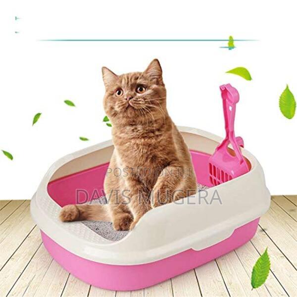 Cat Litter Box + Litter Scoop Open Design (Medium Size) - main view
