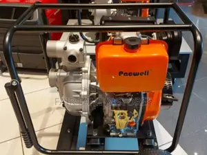 Diesel Pump