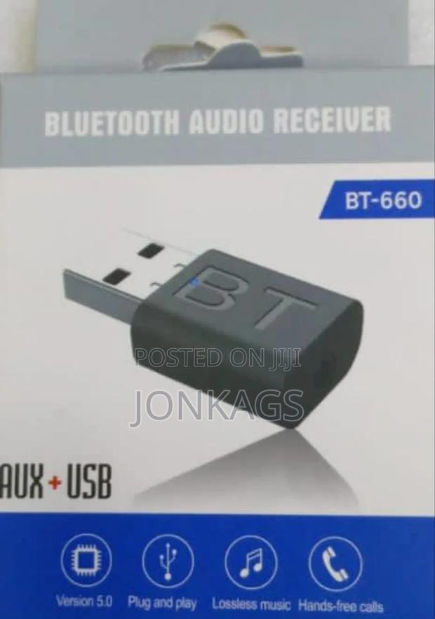 USB Bluetooth Transmitter and Receiver - main view