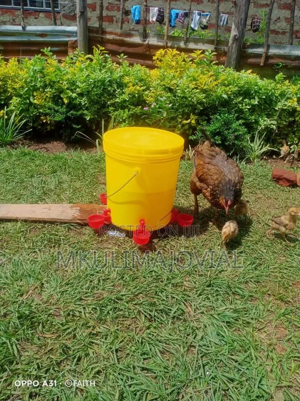 Chicken Automatic Cup Drinker Bucket