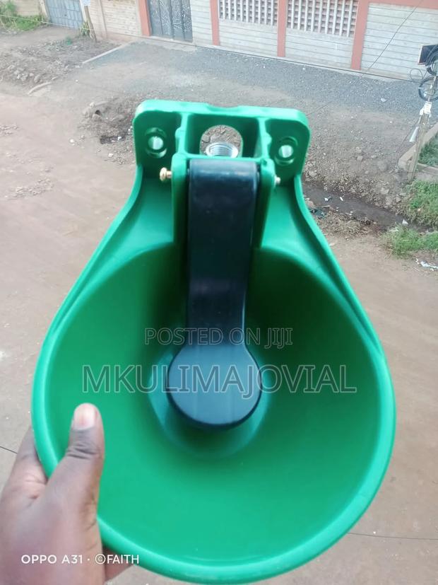 Auto Cow Drinker - main view