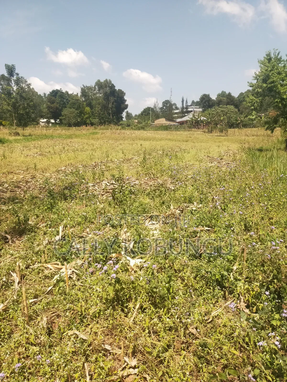 2.5 Acres in Kakamega, Shirere