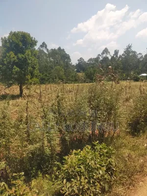 2.5 Acres in Kakamega, Shirere