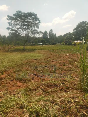 2.5 Acres in Kakamega, Shirere