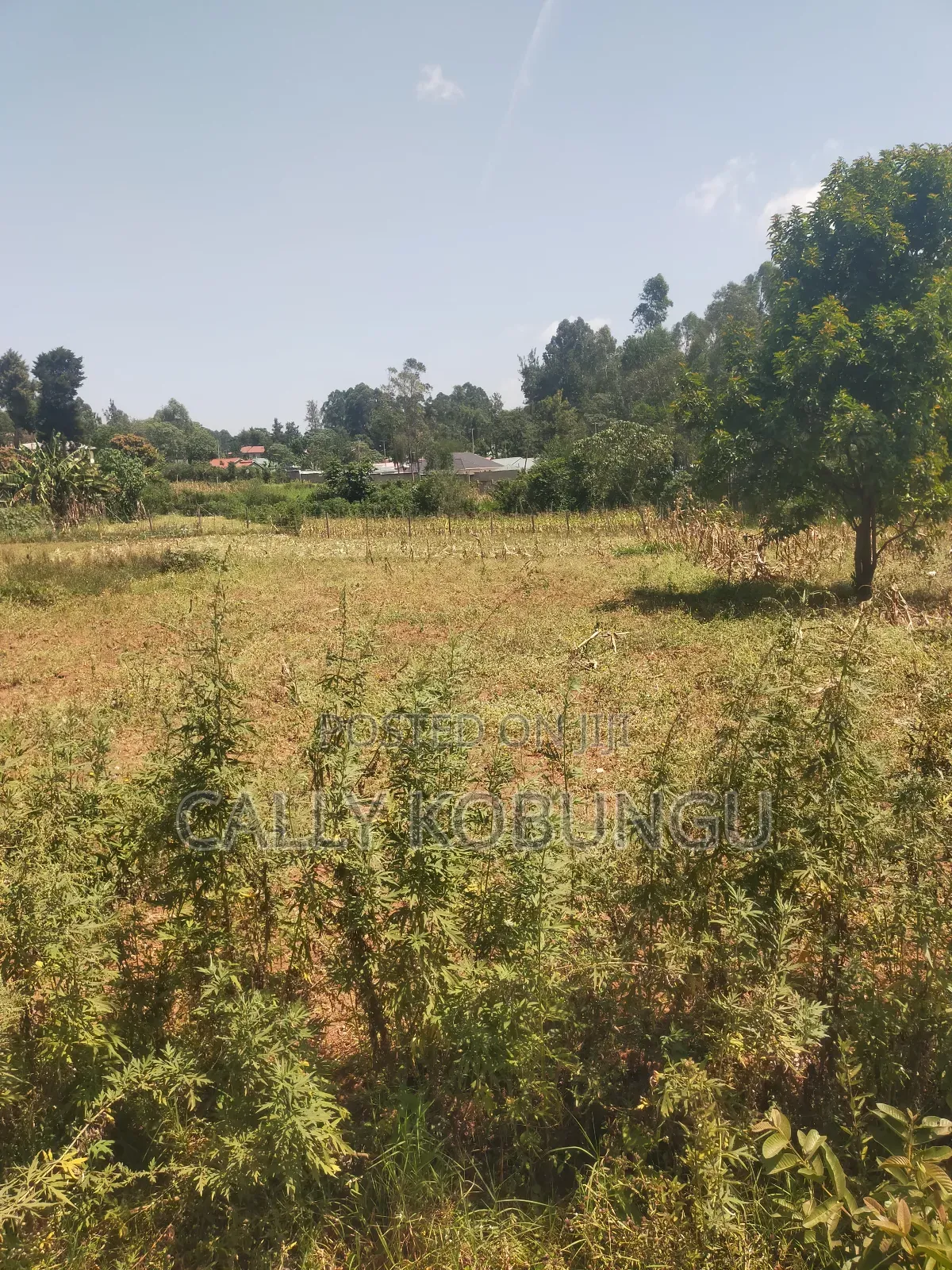 2.5 Acres in Kakamega, Shirere