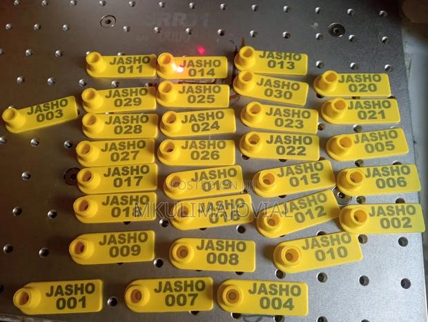 Yellow Customized Sheep/Goat Ear Tags