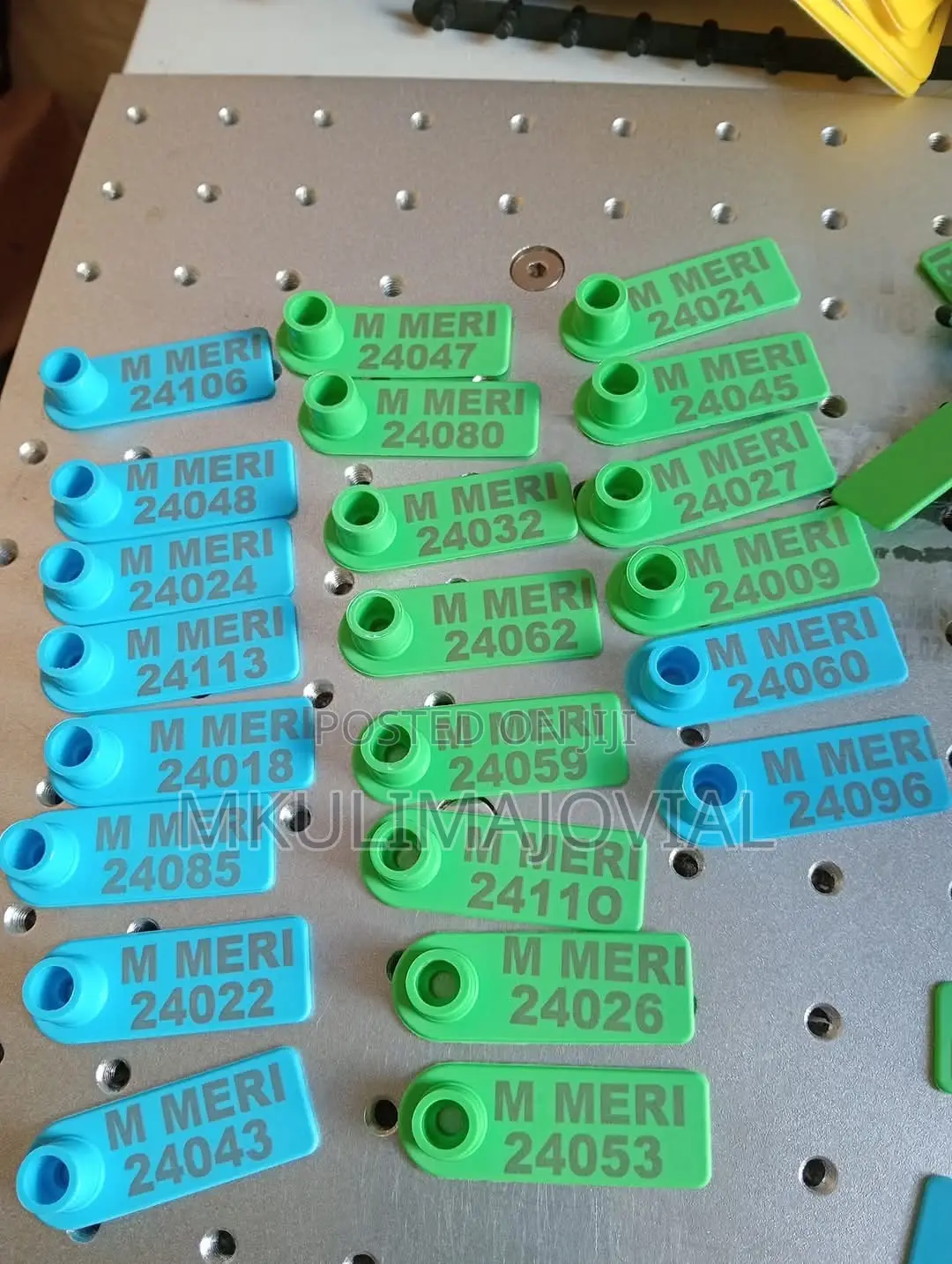 Ear Tags Customizations For Sheep/Goats/Pigs