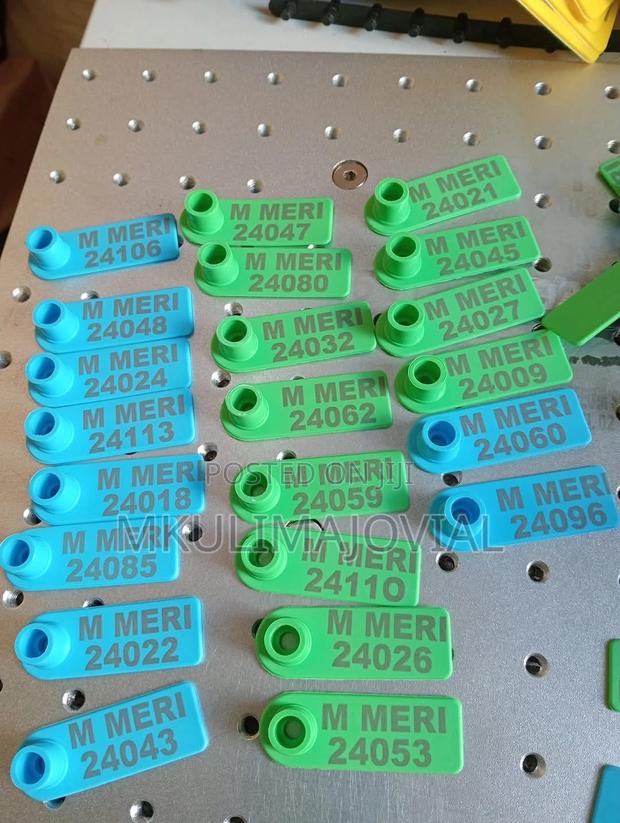 Ear Tags Customizations For Sheep/Goats/Pigs