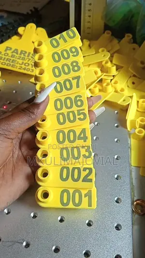 Yellow Numbered Ear Tags
