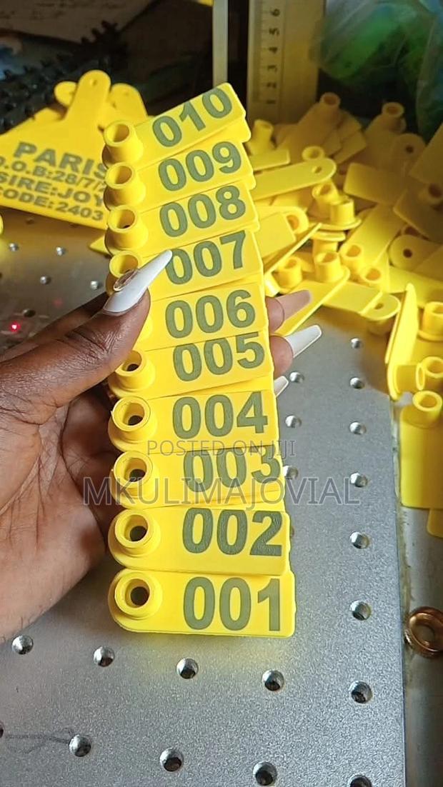 Yellow Numbered Ear Tags