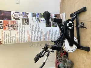 13kg Flywheel Spinning Bikes