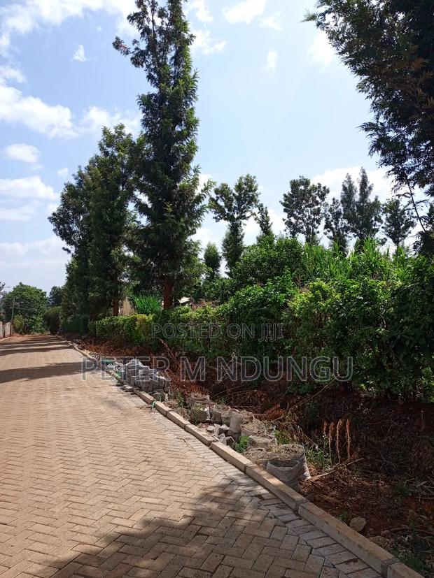 Prime One Acre, Kiukenda - thumbnail 3