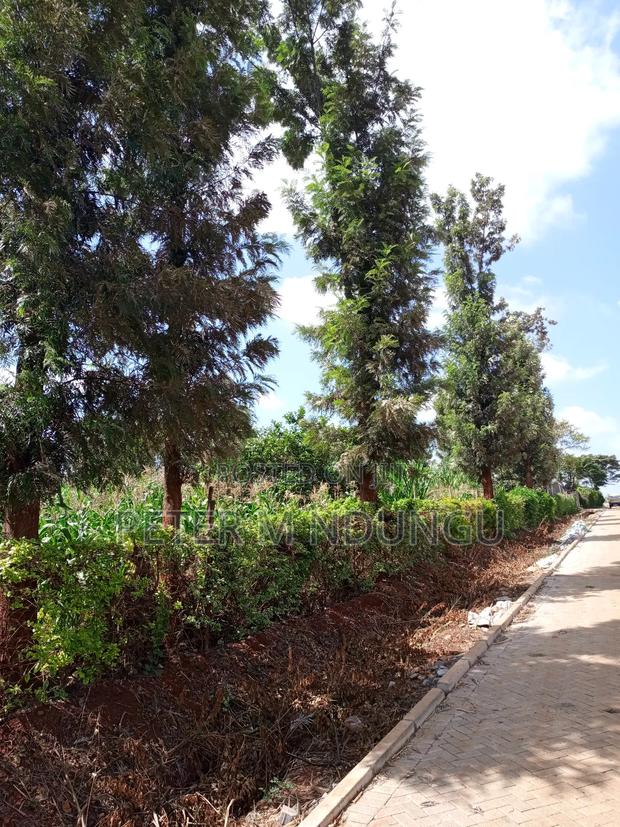 Prime One Acre, Kiukenda - thumbnail 4