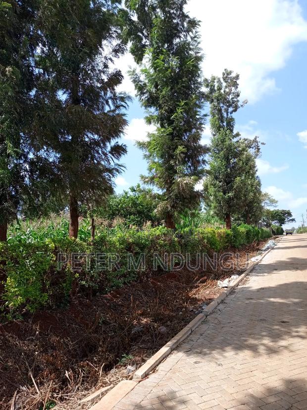 Prime One Acre, Kiukenda - thumbnail 6