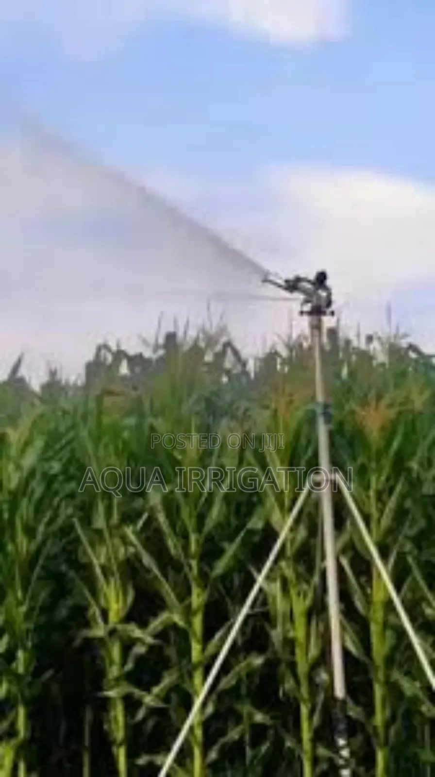 Rain Guns: Save Water, Boost Results.